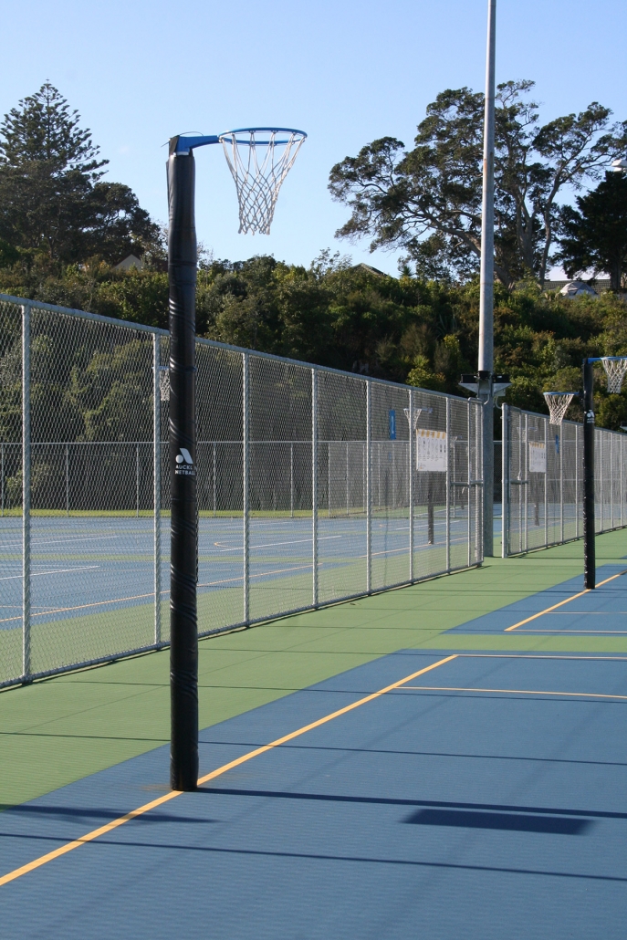 Image of a netball court